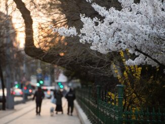 Vremea se strică de 1 Mai: Unde lovesc ploile și frigul