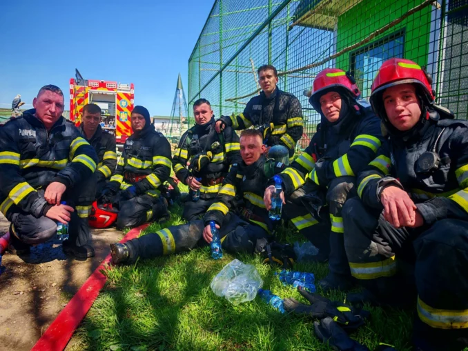 Primul ligru din România a murit într-un incendiu – VIDEO