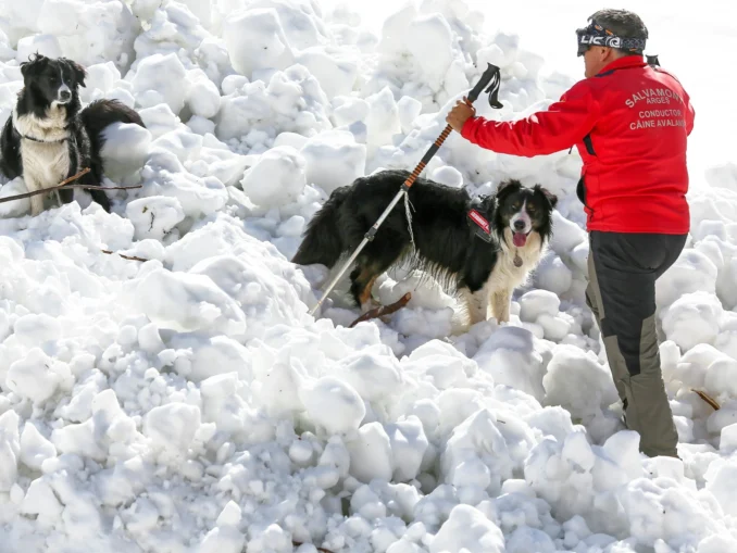Avalanșă în Bucegi. Cel puțin o persoană prinsă sub zăpadă