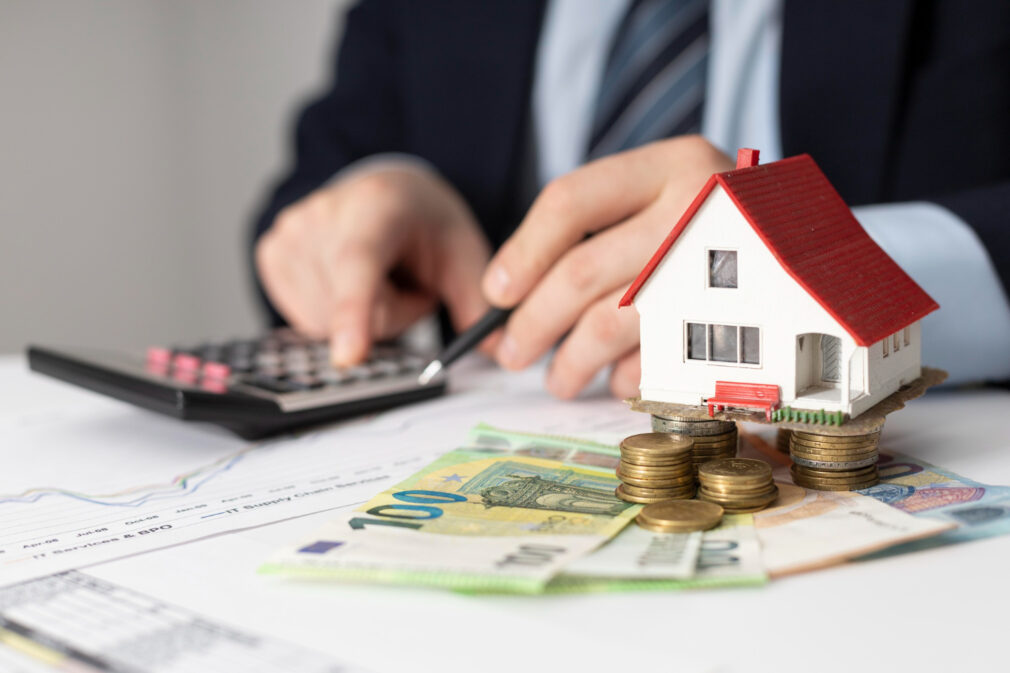 Ministerul Finanţelor alocă 100 milioane euro pentru Programul „Diaspora Investeşte Acasă”