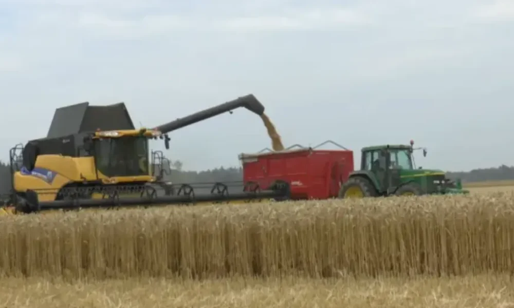 Fermierii primesc bani la începutul săptămânii