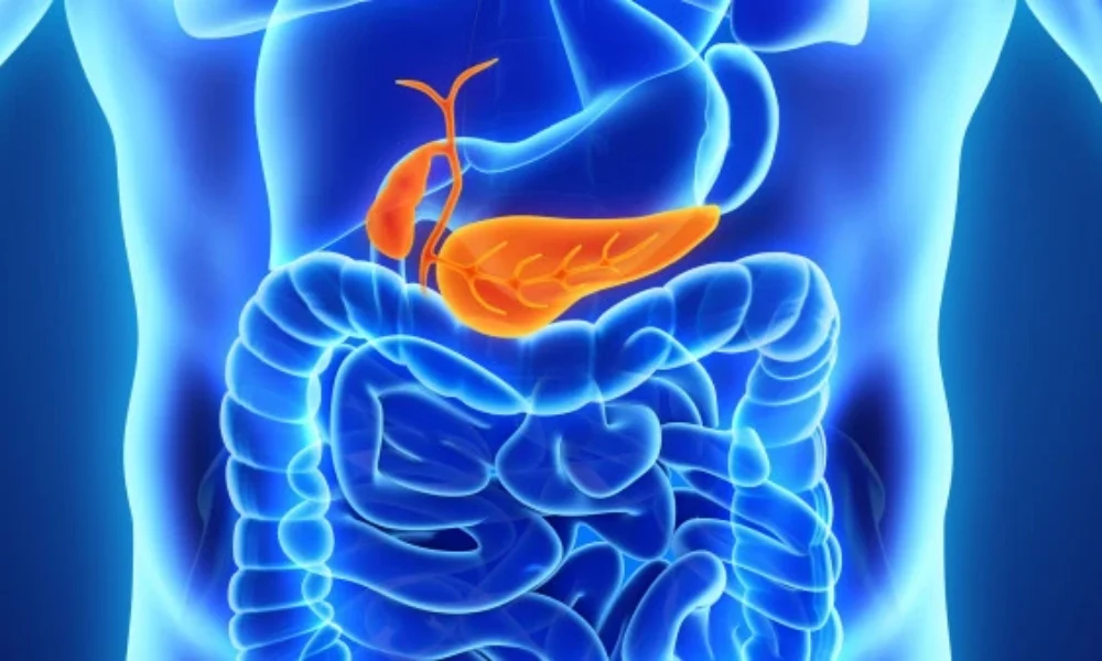 Cancerul de pancreas, un cancer care nu dă semne în faze incipiente. Este tipul de cancer cu cea mai ridicată mortalitate. Totuși, corpul trage semnale. Cum anume spune Prof. Univ. Dr Octav Ginghină