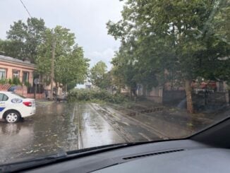 Furtună puternică în București. Copaci doborâți de vijelie, acoperișuri smulse și 200 de apeluri la 112