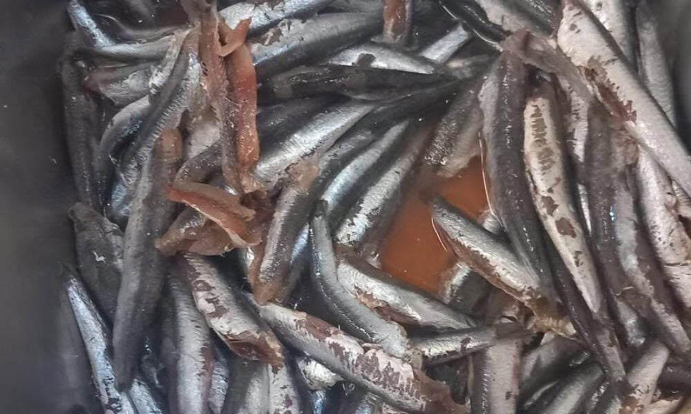 Alimente stricate la vânzare. ANPC a dat amenzi de peste 4.4 milioane de lei