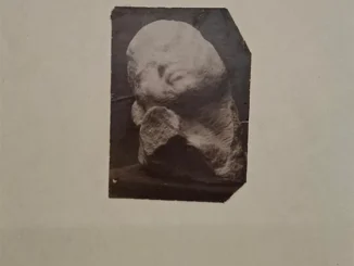 41 de fotografii realizate de Brancusi, pastrate 60 de ani intr-o biblioteca din Cluj, vor fi expuse in premiera la Art Safari in septembrie