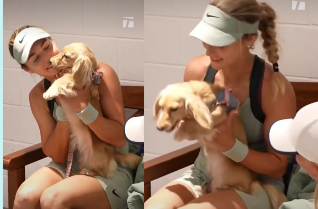 VIDEO Bella, cățelușa Annei Kalinskaya, a cucerit fanii de la Roland Garros