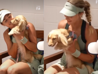 VIDEO Bella, cățelușa Annei Kalinskaya, a cucerit fanii de la Roland Garros