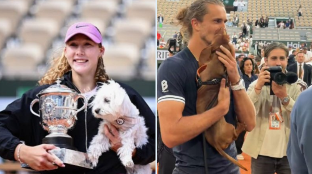 Câinii de la Roland Garros. O ediție la care patrupedele au fost în prim-plan – VIDEO