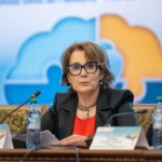 Nicoleta Pauliuc, PNL, Ministerul de Interne, Comisia de Apărare, Viorel Pauliuc, clanul Cămătaru, SAFE, Sig Sauer, Niculae Tabarcia, contracte de armament