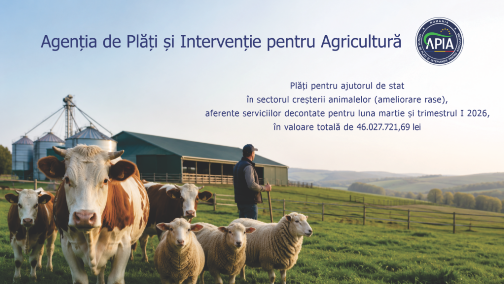 APIA a început plățile către crescătorii de animale. Peste 46 de milioane de lei ajung la fermieri