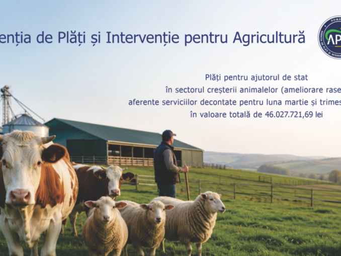 APIA a început plățile către crescătorii de animale. Peste 46 de milioane de lei ajung la fermieri