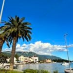 Muntenegru