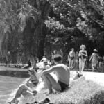 București, ștranduri București, lacul Tei, lacul Floreasca, istoria Bucureștiului, ștrandul Tei, Parcul Bordei, comunism, București interbelic, Dâmbovița, ștranduri abandonate