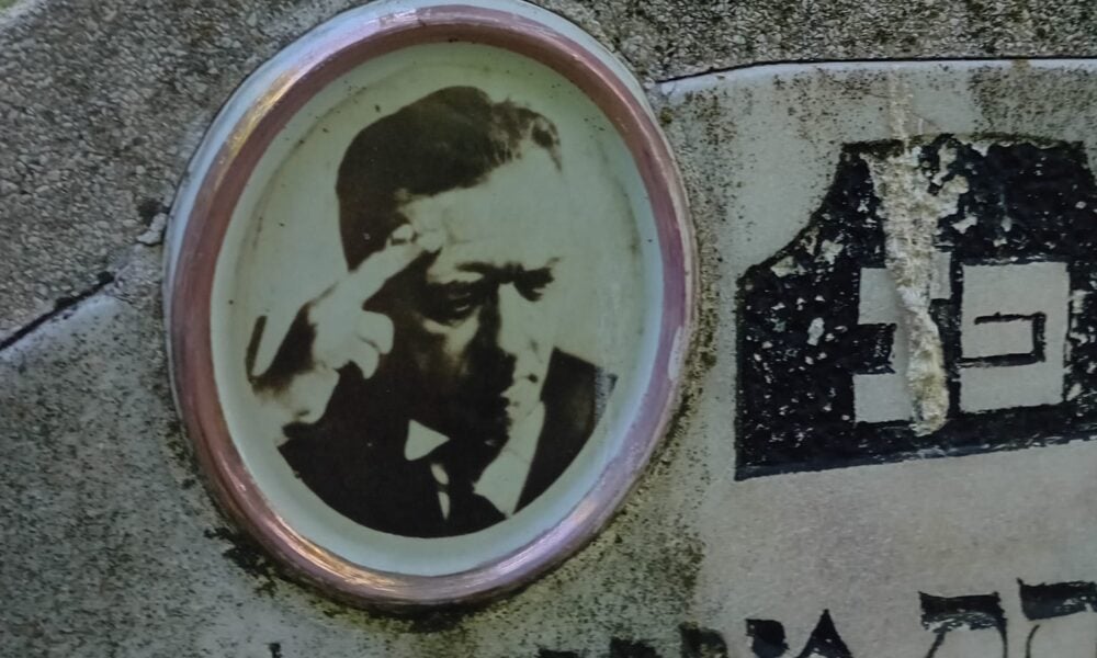Hazardul și „Cameleonul Stein”