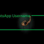 WhatsApp, nume de utilizator, fără numere de telefon