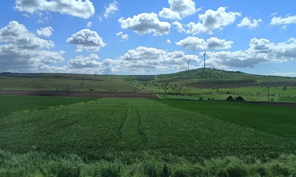 De ce fug băncile de agricultura românească?