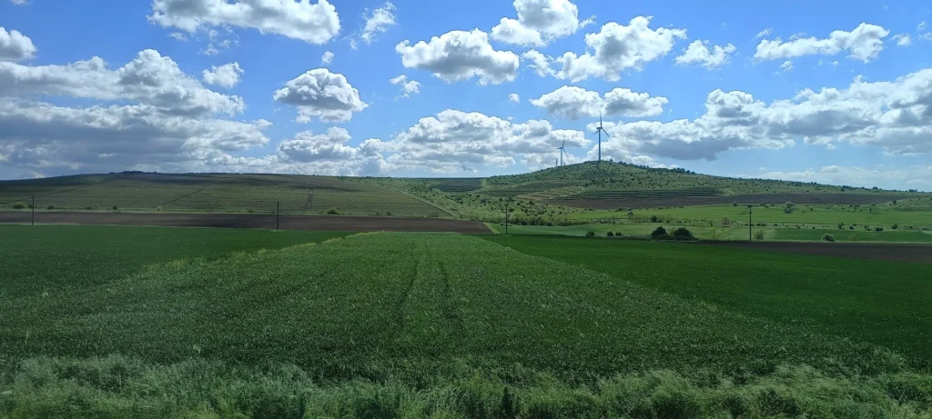De ce fug băncile de agricultura românească?