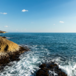 bacteria Vibrio, bacteria care mănâncă carne, Marea Mediterană, schimbări climatice, plaje Europa, turism Europa, infecții bacteriene, peștele-iepure, bacterie Marea Mediterană