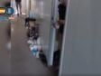 VIDEO Operațiunea „Cireșe”. Zilieri români ținuți cu forța la muncă într-o fermă din Spania. Oamenii și-au implorat familiile să îi salveze