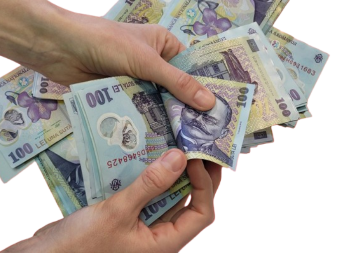 Salariile angajaților din Silvicultură vor scădea cu 25% din cauza Legii salarizării. Oamenii sunt extrem de nemulțumiți