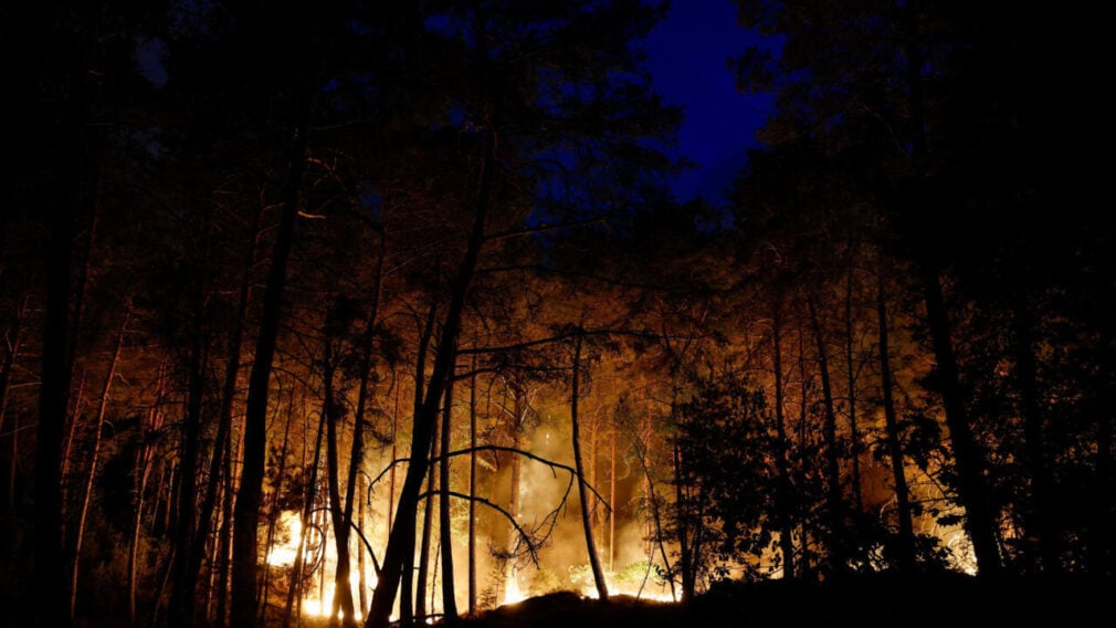 VIDEO Incendiu forestier de amploare în pădurea Fontainebleau din apropierea Parisului