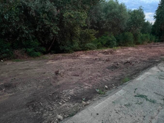 Controverse la Galați. Primăria începe modernizarea Falezei Dunării. Proiectul presupune tăierea a aproape 1.000 de arbori VIDEO