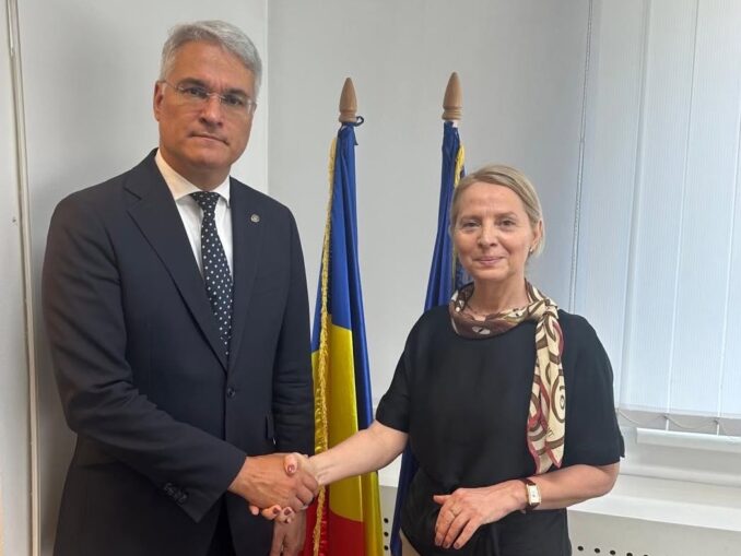Cine este Ana Rădulescu, cea care o înlocuiește pe șefa demisă de Dragoș Pîslaru