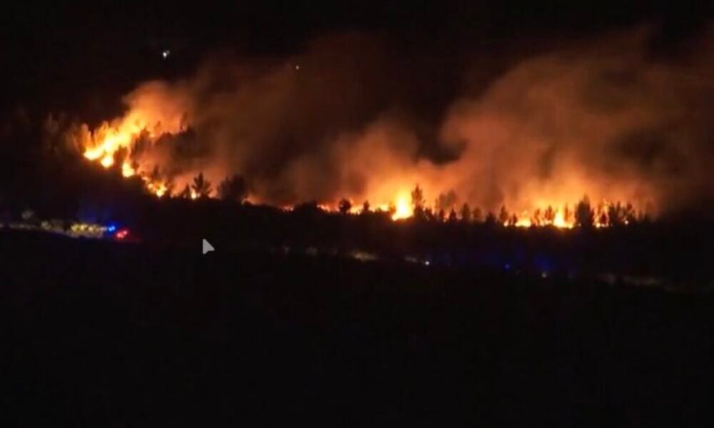 UE trimite sprijin împotriva incendiilor de vegetație, pentru a face față focarelor active din Portugalia și Franța