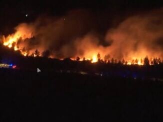 UE trimite sprijin împotriva incendiilor de vegetație, pentru a face față focarelor active din Portugalia și Franța