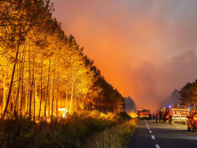 Doi foști sportivi au sărit în ajutorul pompierilor în lupta cu incendiile din Franța