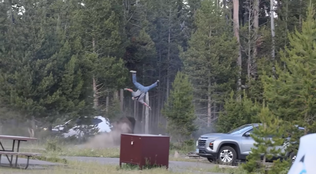 VIDEO Un bizon furios din Parcul Național Yellowstone a atacat un bunicuț de 65 de ani și l-a aruncat la peste doi metri înălțime