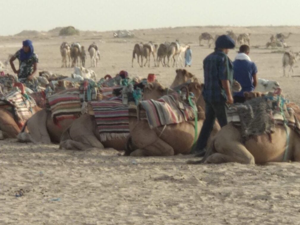 Tunisia – alternativa mediteraneană ieftină și de neratat