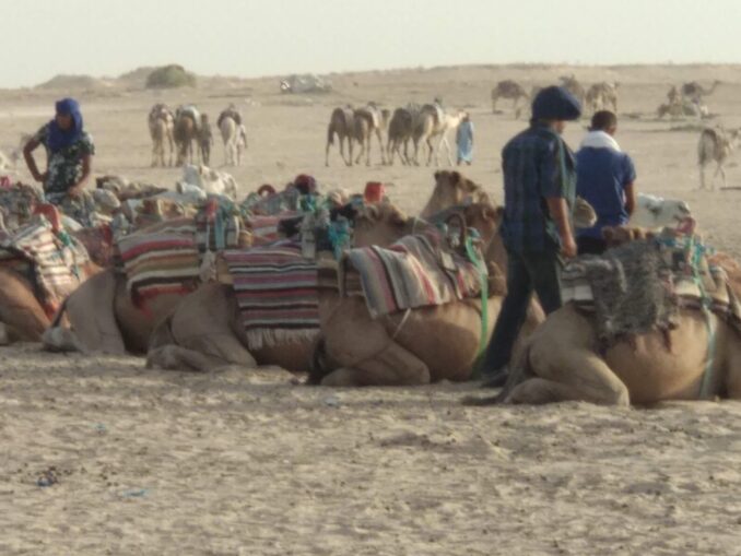 Tunisia – alternativa mediteraneană ieftină și de neratat
