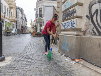 PMB s-a apucat de deratizare. 140.000 de cutii cu raticid, amplasate în București