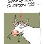 Cațavencii, Cațavencii.ro