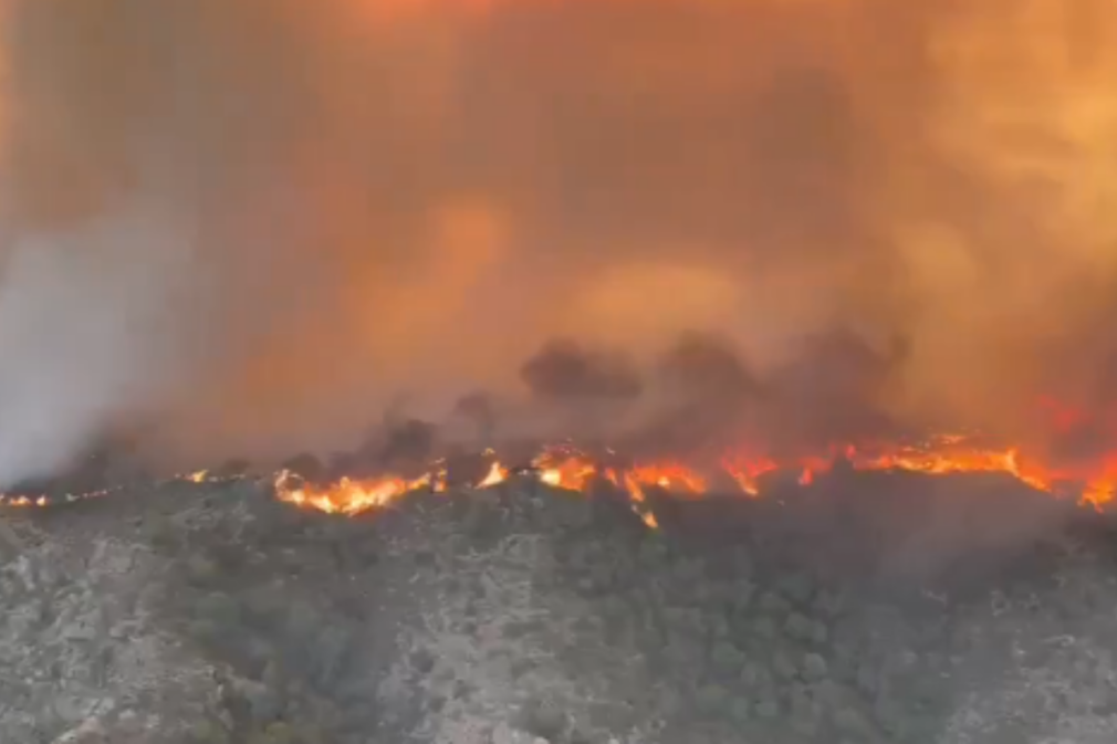 VIDEO Incendiu de vegetație în sudul Spaniei