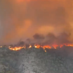 incendiu Spania, Almeria, Andaluzia, caniculă Spania, incendiu de vegetație Spania