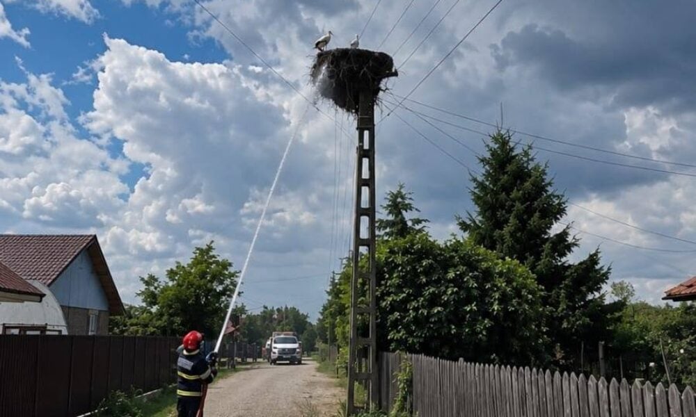 Pompierii buzoieni au stins un incendiu la un cuib de berze