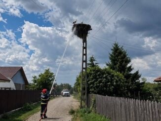 Pompierii buzoieni au stins un incendiu la un cuib de berze