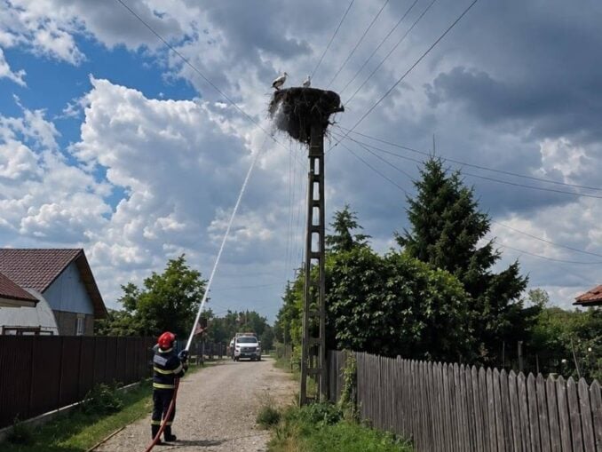 Pompierii buzoieni au stins un incendiu la un cuib de berze