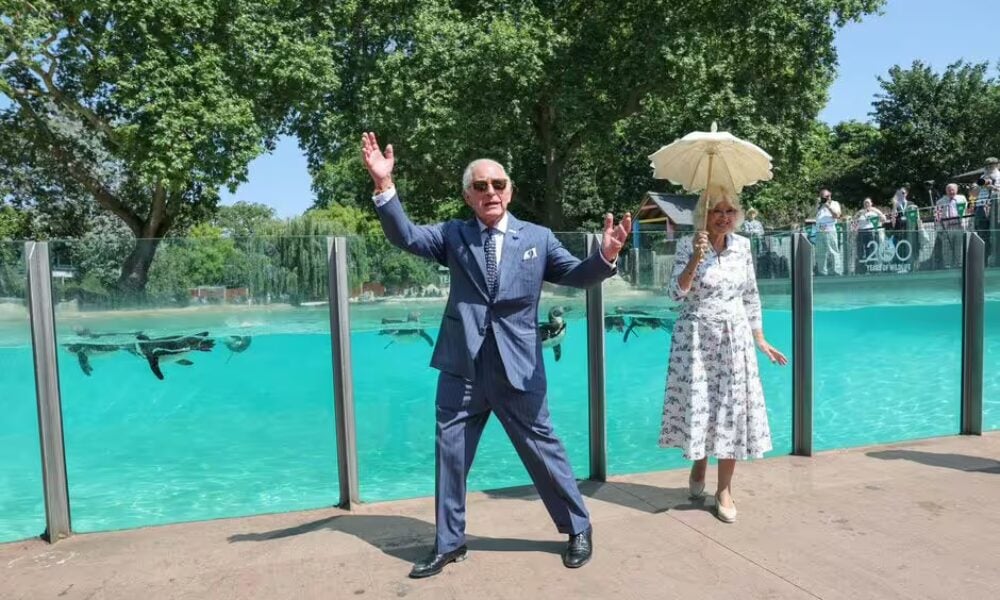 Regele Charles și Regina Camilla, vizită specială la Grădina Zoologică din Londra