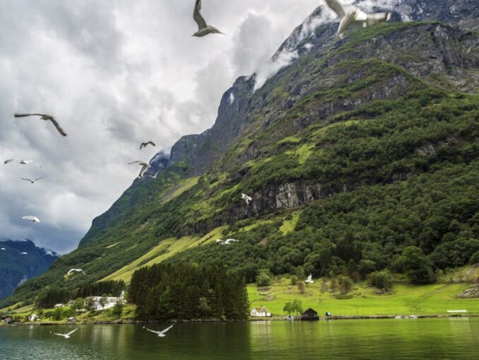 Norvegia, destinația perfectă după Cupa Mondială