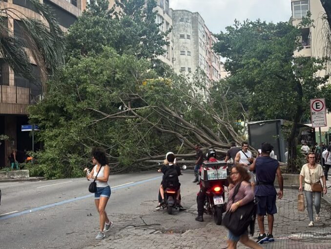 Furtună devastatoare în Rio de Janeiro. Cinci oameni au murit, iar orașul a fost paralizat VIDEO