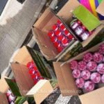 substanțe toxice, PTF Siret, Poliția de Frontieră, contrabandă, substanțe toxice rozătoare