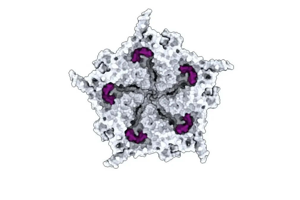 VIDEO Inteligența Artificială a creat un virus care nu există în natură, potrivit The New York Times
