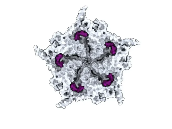 VIDEO Inteligența Artificială a creat un virus care nu există în natură, potrivit The New York Times