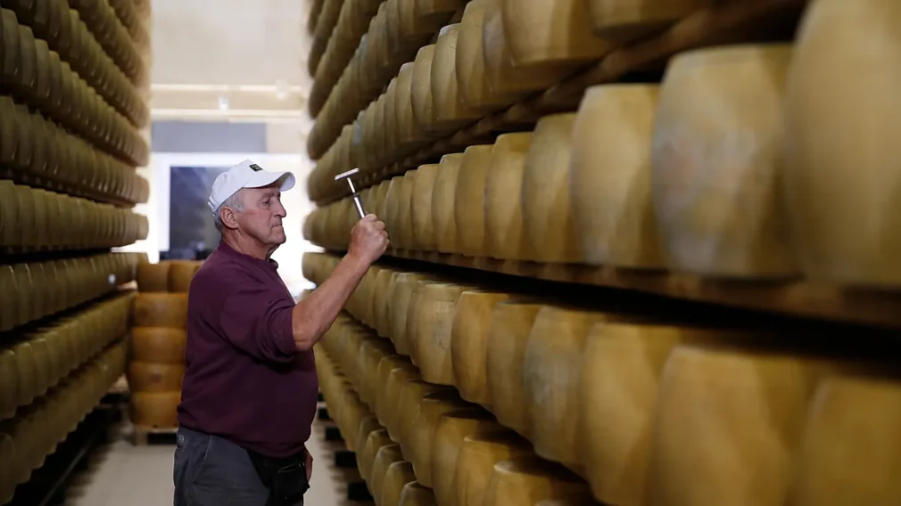 Căldura extremă lovește în „băncile de brânză” din Italia. Ce se întâmplă cu sortimentul Parmigiano care garantează creditele