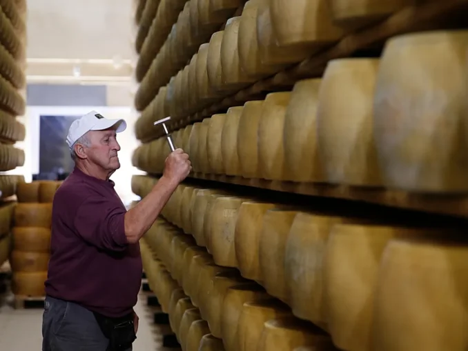 Căldura extremă lovește în „băncile de brânză” din Italia. Ce se întâmplă cu sortimentul Parmigiano care garantează creditele