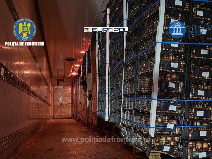 „Țigări la kilogram”. O rețea româno-moldoveană aducea țigări de contrabandă ascunse în transporturi de legume