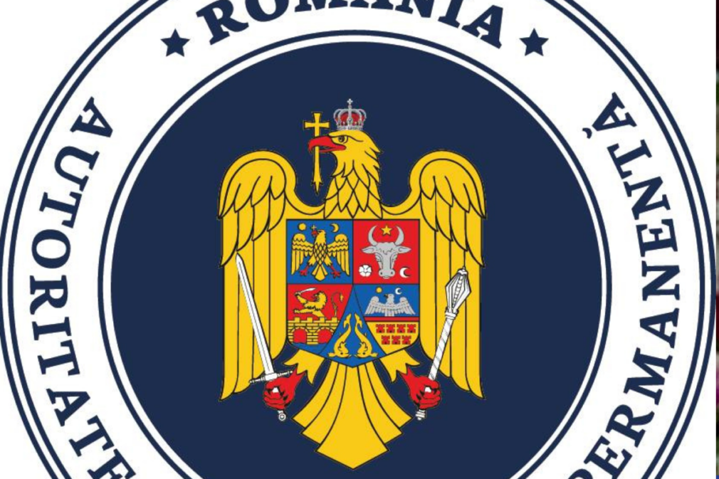 AEP propune preluarea puterii de a înființa şi dizolva partide politice, în locul instanțelor